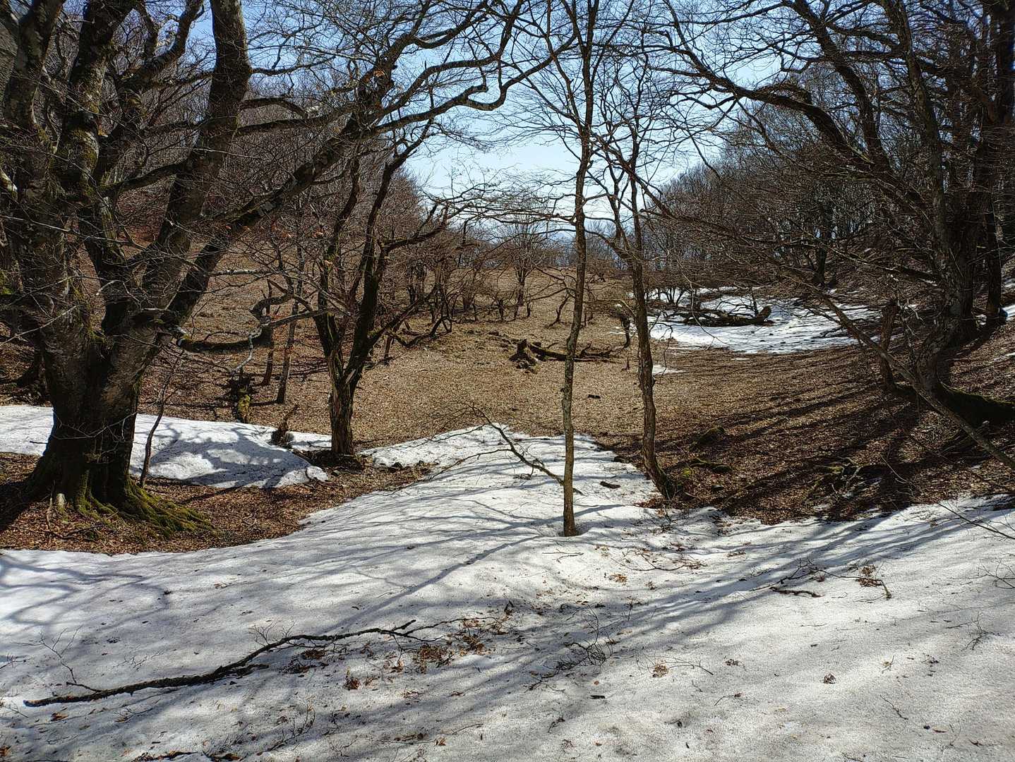 所々残雪