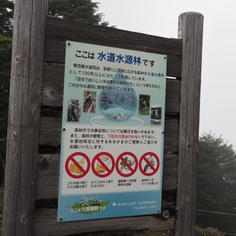 水道水源林らしい
それで眼下にダム湖らしいものが見えるのか