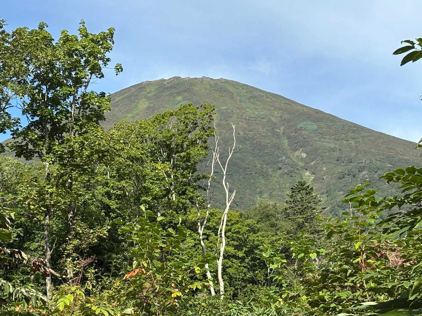 山頂見えた👀　　この後は全く見えず😅