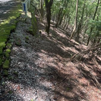 こちらもみんなの軌跡を参考にここから入ってみたものの、あまりいいルートじゃないかも
