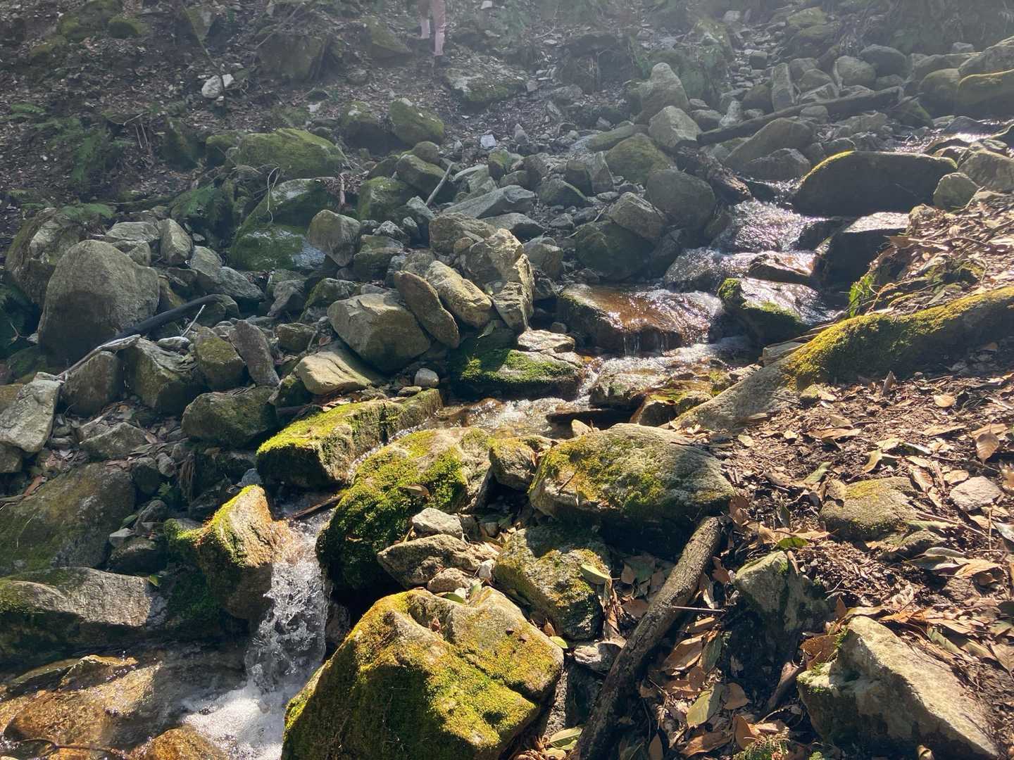 (11)