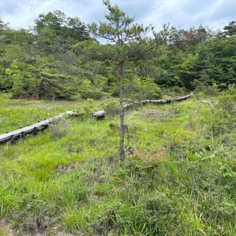 湿原は何も無い？