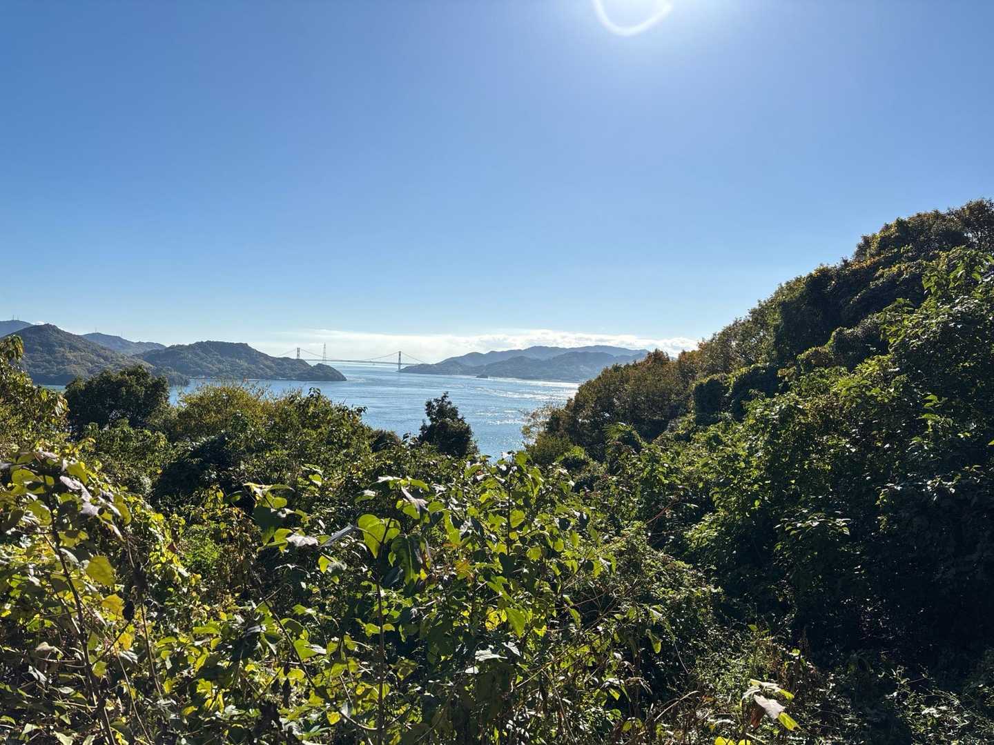 赤石バス停-大師堂-観音寺奥の院-鉢ヶ峰-大平山-米田山- 縦走コースの写真