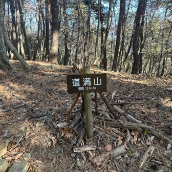 この後結構急な下りです。
写真撮り忘れた😅落ち葉で滑りますので⚠️