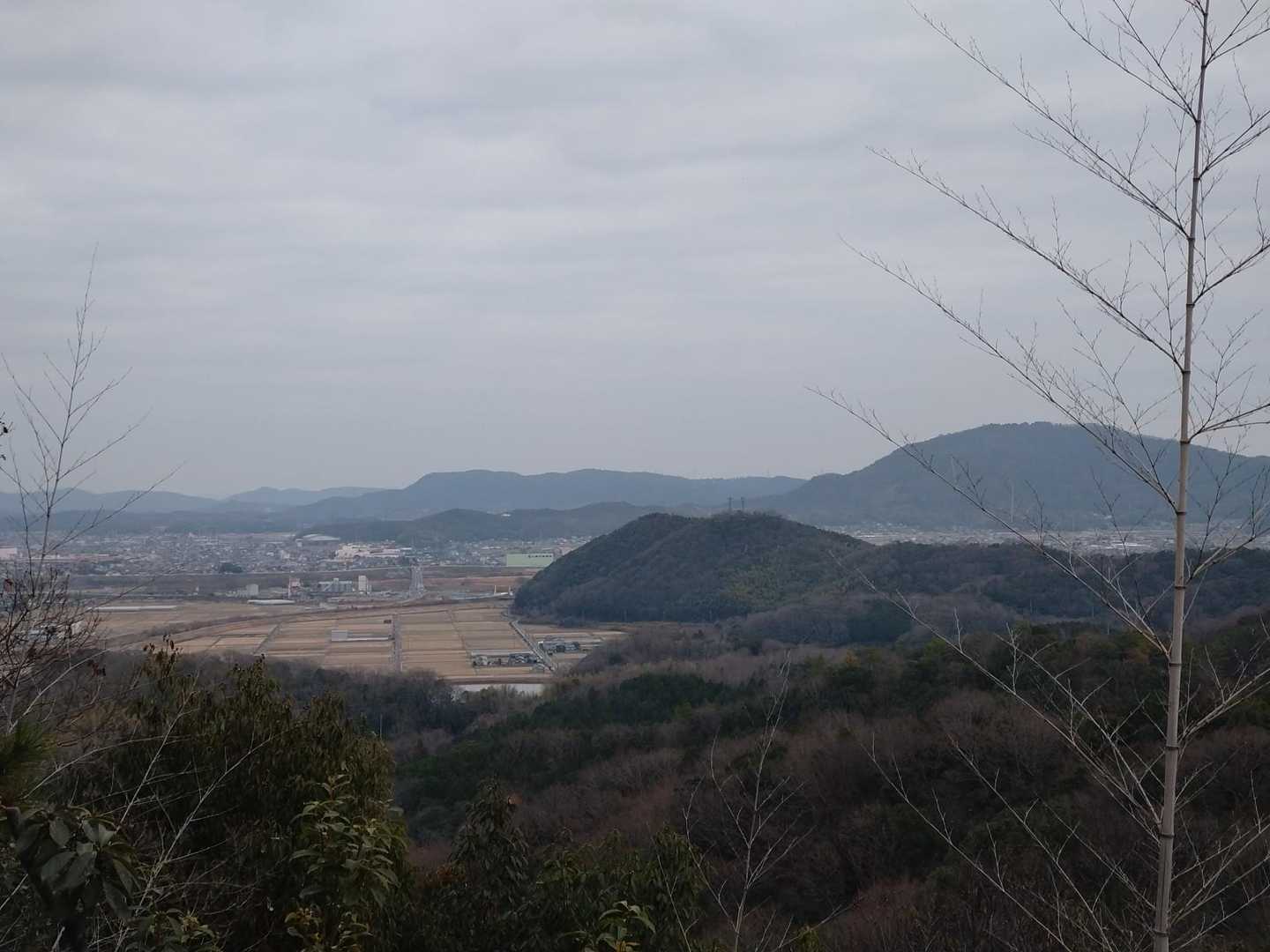 あそこから来たのかな👆️