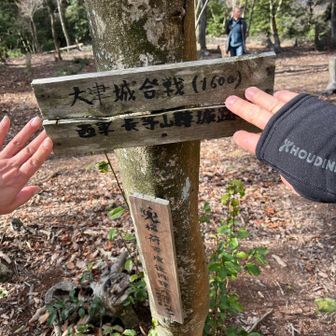 標識ないので城跡プレートにタッチ〜