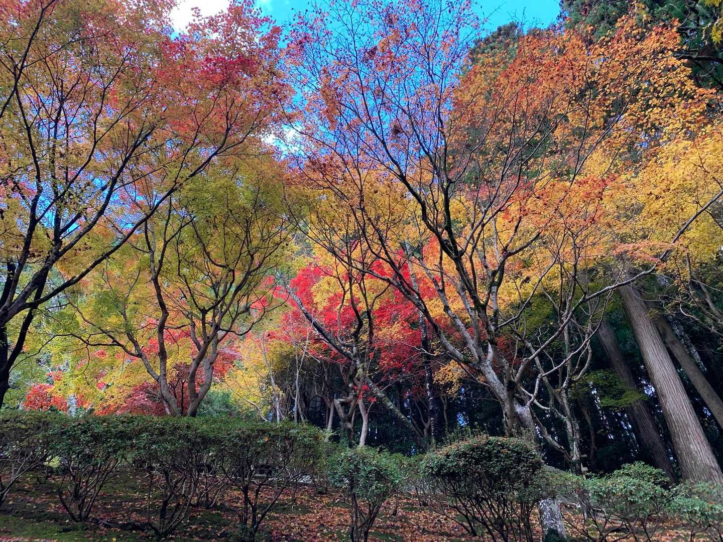 青空も見えてきた