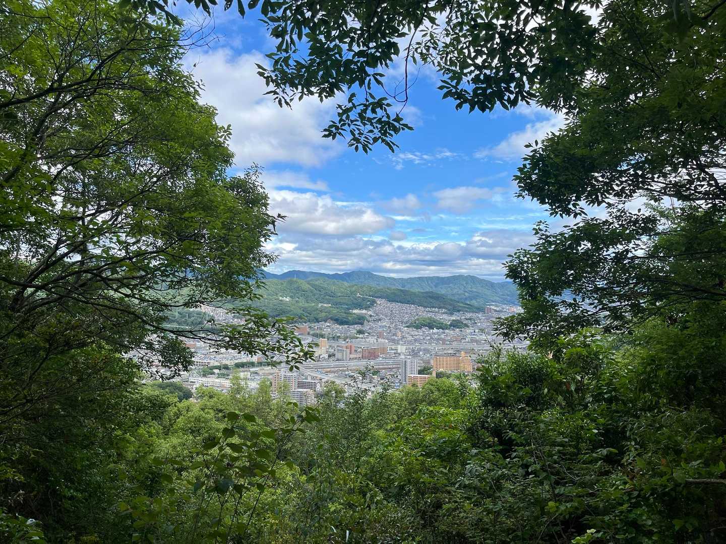 山根口登山口-尾長山-牛田山-神田山 縦走コースの写真