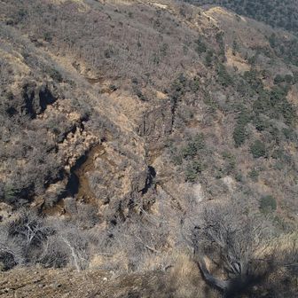 大幡前山から大幡山へ向かう途中で膳棚を望む😆