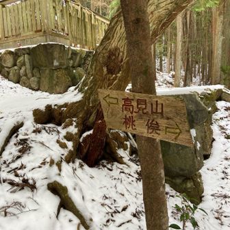 高見山を目指しますが〜