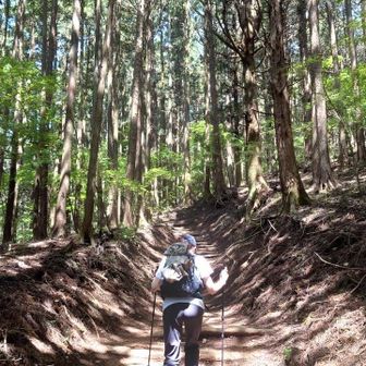 SHIZU【ぎんちゃん】