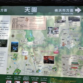 私も天国だと思っていたクチ🤣