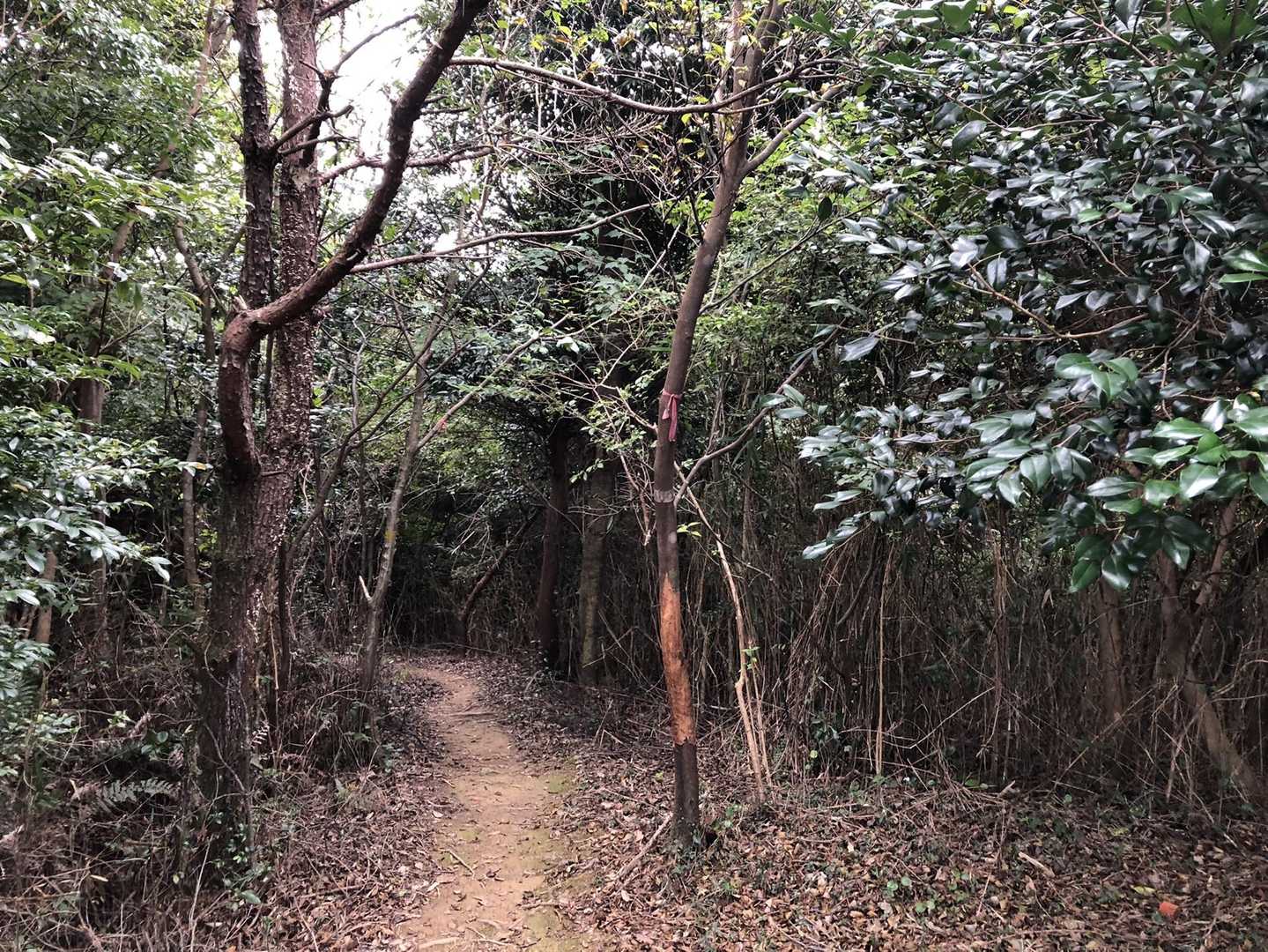 南峰に向かいますか🥾