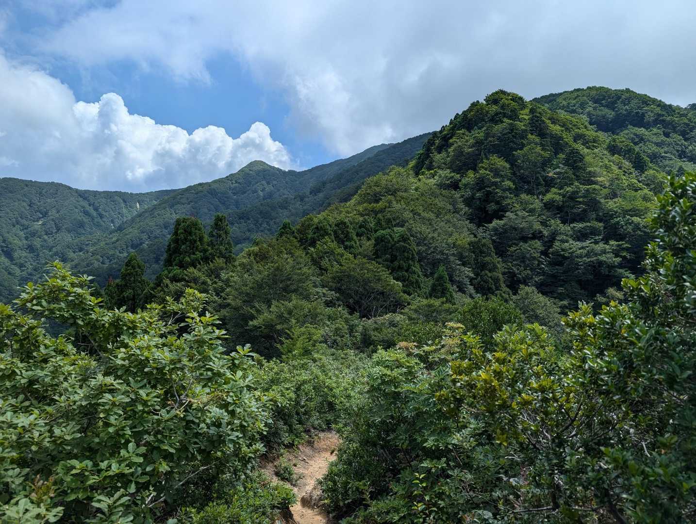 下山
北山にて周回コース