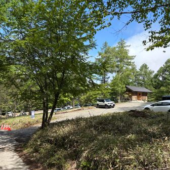 桜平、中🅿️トイレあり（水洗🚽綺麗）
８時に着いてまだ余裕あり
さすが平日
