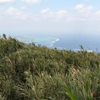 背伸びして周りを見るとこんな感じ