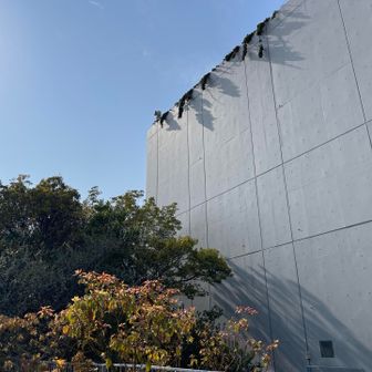 森林限界！
空気が薄くて高山病に注意しながら
ゆっくり歩かないと💦