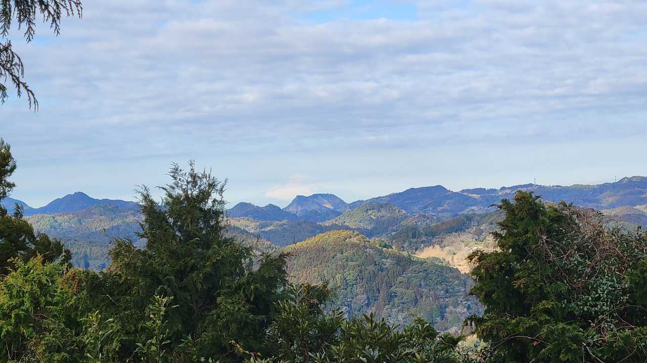 富士山見えました♬