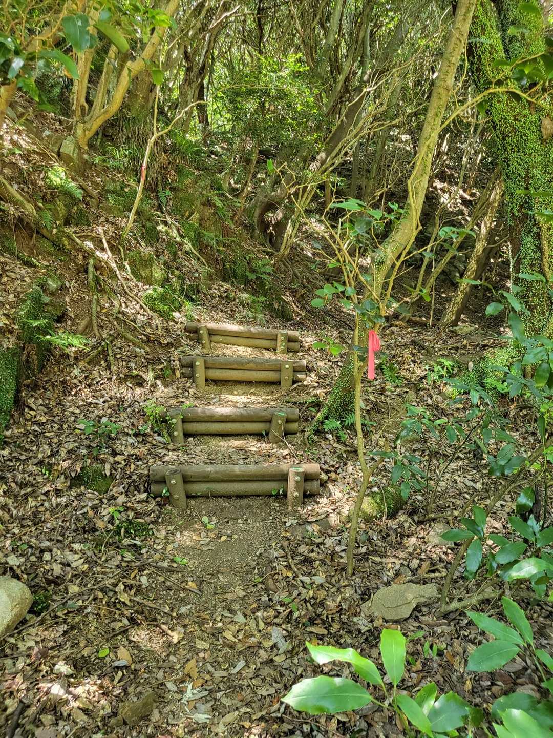 通行止めの看板に従いう回路を登り始めましたが…YAMAPのコメントで通れそう…だいぶ遠回りになりそう…なのでUターンしました。
自己責任で進みました😣
無事に通れました。