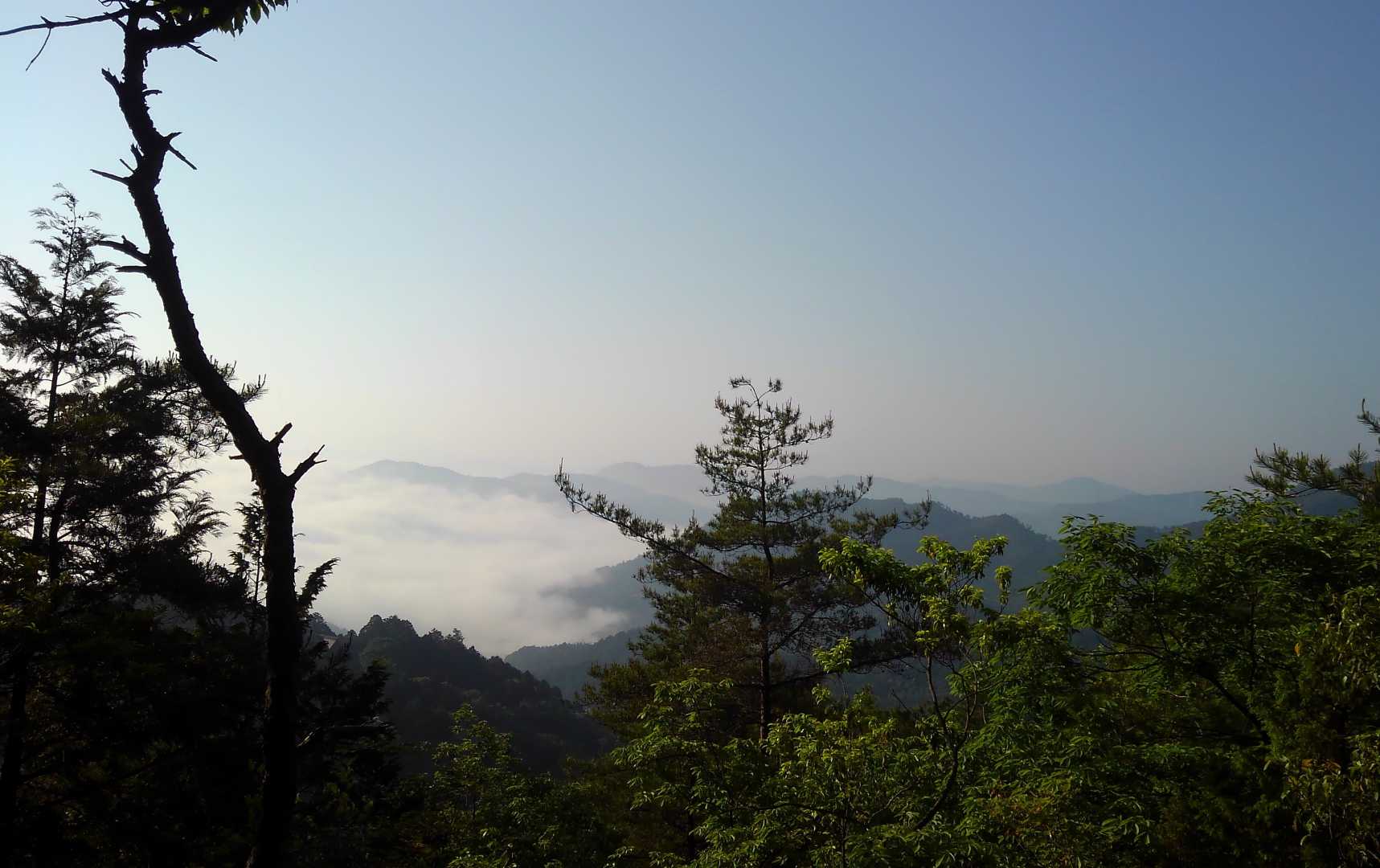 金輪寺-半国山-牛つなぎ広場 周回コースの写真