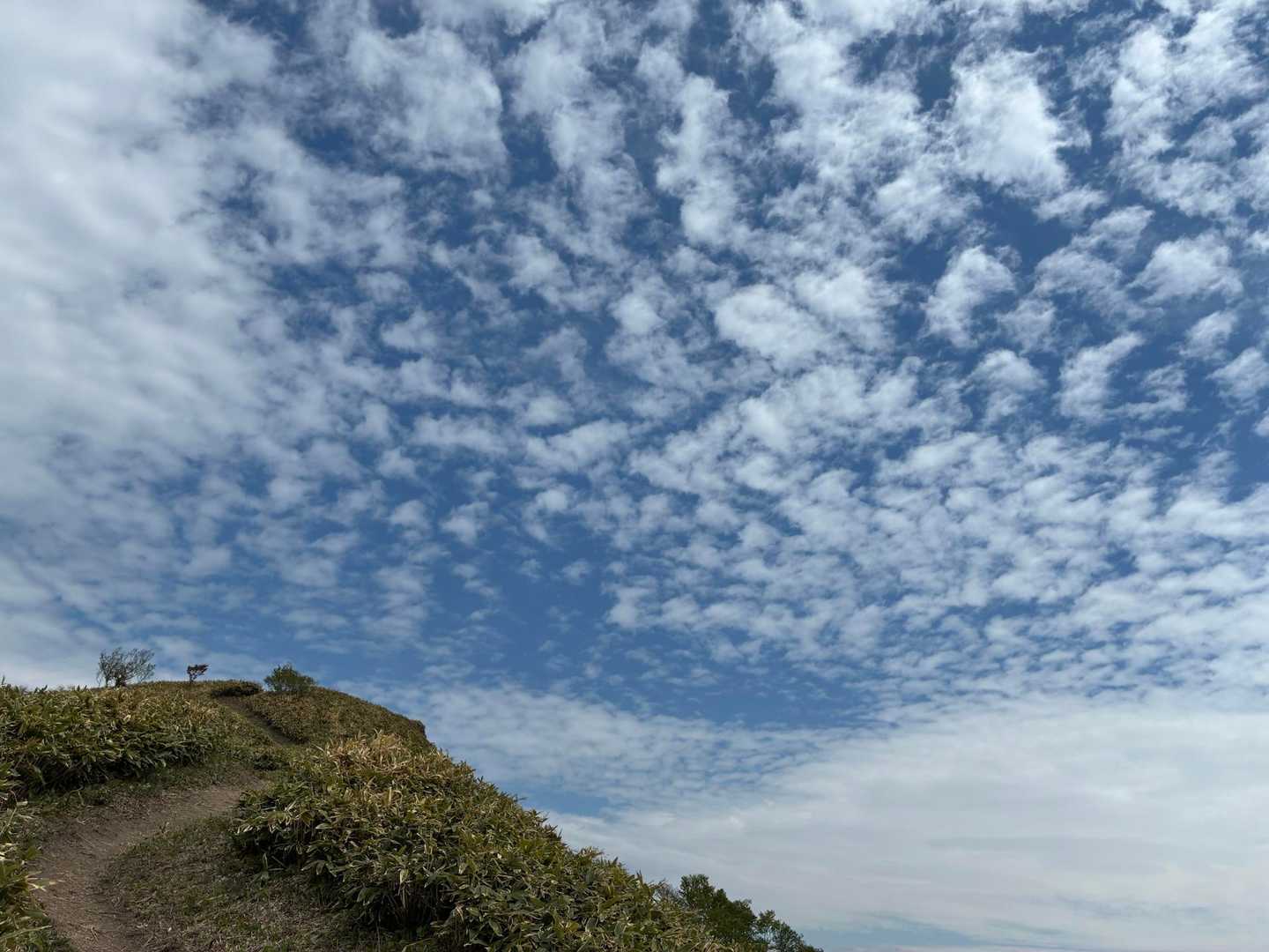 ウロコ雲