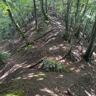 分岐
大山へ行くので、
来た道戻ります(登り返し)

先に大山、天丸山を登って帰路は左側の道で下りる人が多いみたい(登り返ししなくていいし)