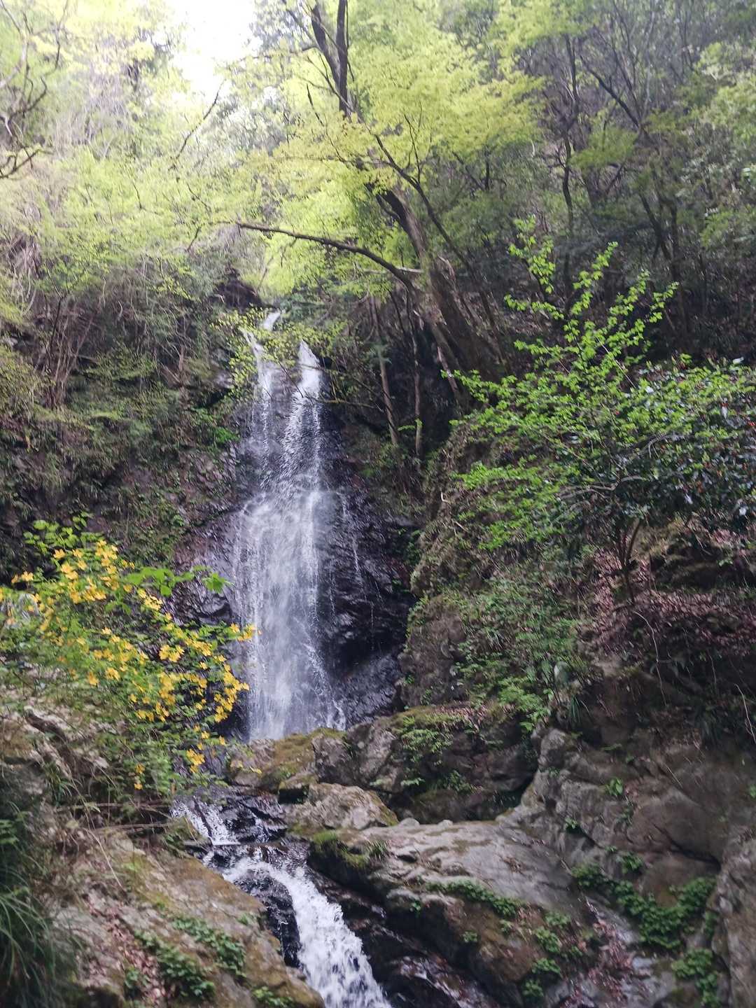 払沢の滝