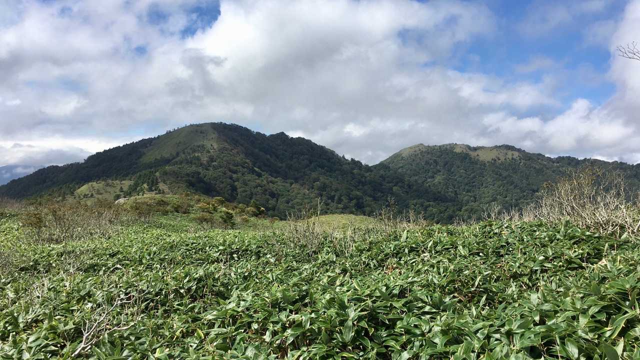 落合峠-矢筈山 往復コースの写真