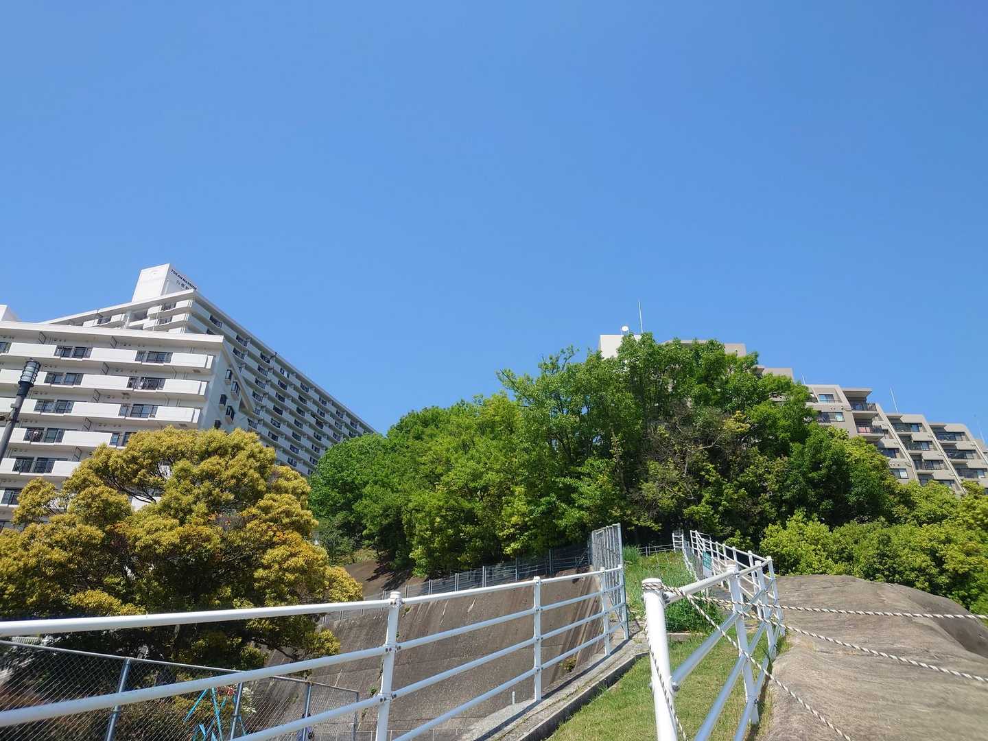 山根口登山口-尾長山-牛田山-神田山 縦走コースの写真