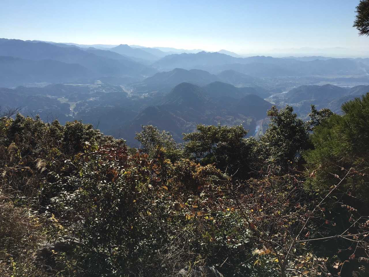 今日1番写真