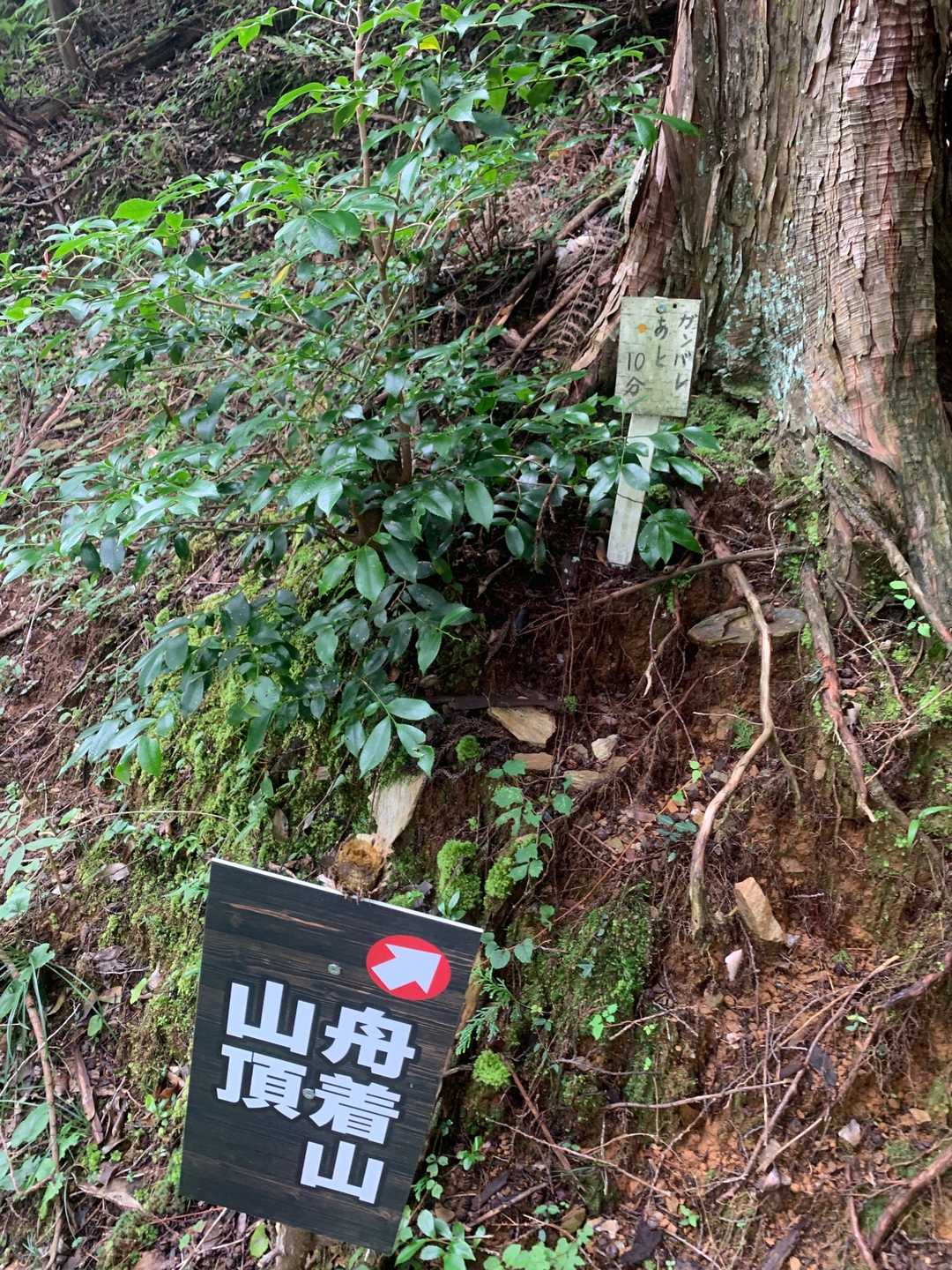 『ガンバレあと10分』の看板で元気をもらいました✨✨