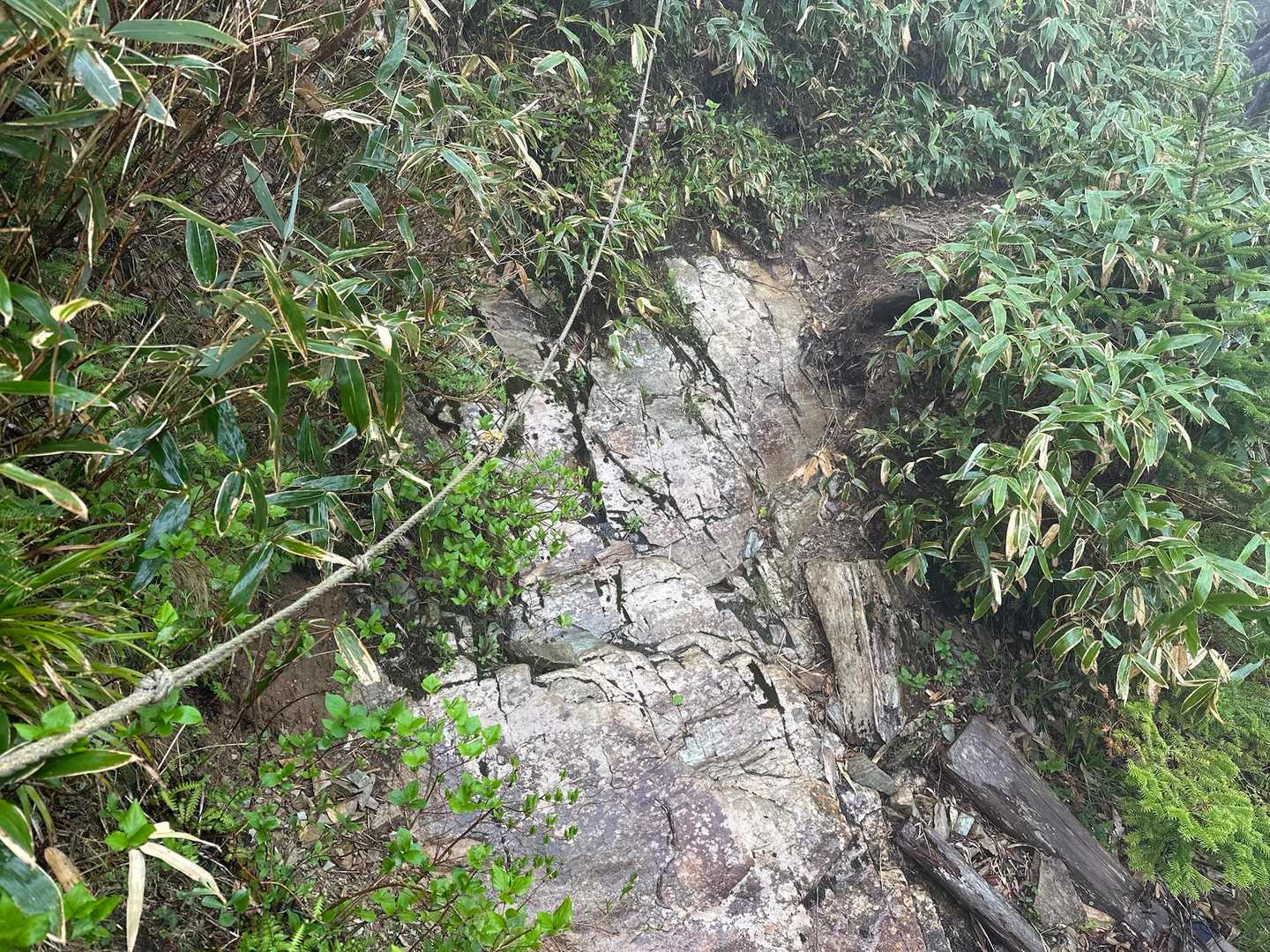 滑りそう…