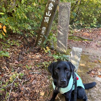手前の黒倉山登頂🙌