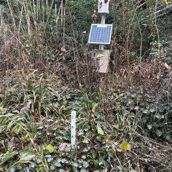 こちらが山頂。眺望は無し。三角点はあるものの、山名標識は…？