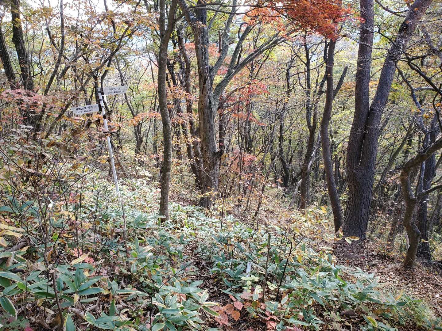 下山は鉱石コースへ