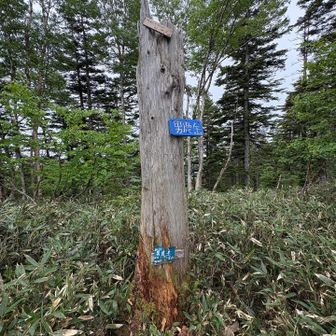男鹿岳山頂１７７７ｍ
眺望なし
