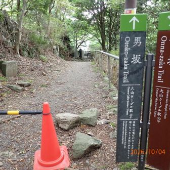 直進して男坂を下ります