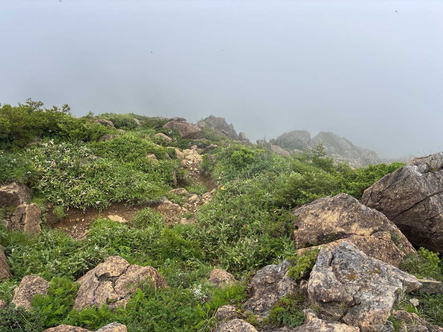 鳩待峠-悪沢岳-小笠-笠ヶ岳 往復コースの写真
