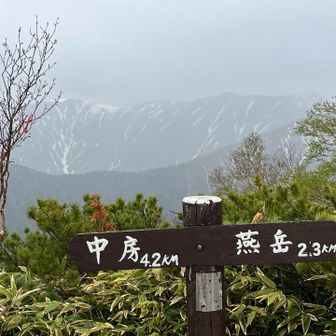 雨降ってるから
何も見えない
さっきまで晴れていたのに🤣