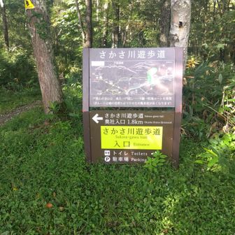 さかさ川遊歩道からスタート