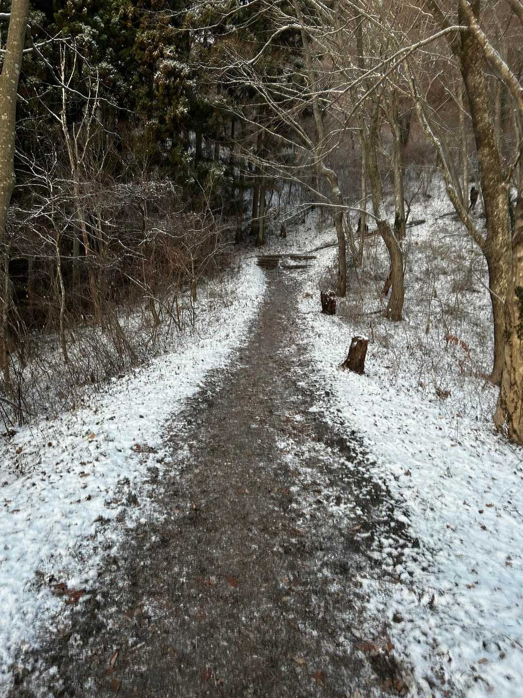 行きは展望コースで🥾
登山口は太平洋側の温暖な鹿狼山でも
うっすら雪がありました☃️
すっかり運動せずにだらんとした身体に
階段が多いコースはキツイ😅