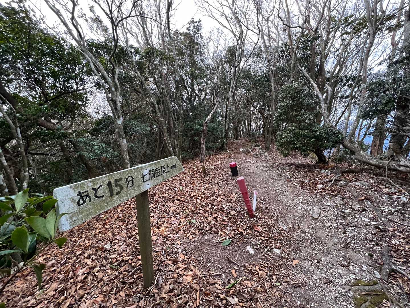 はいっ、あと15分👍