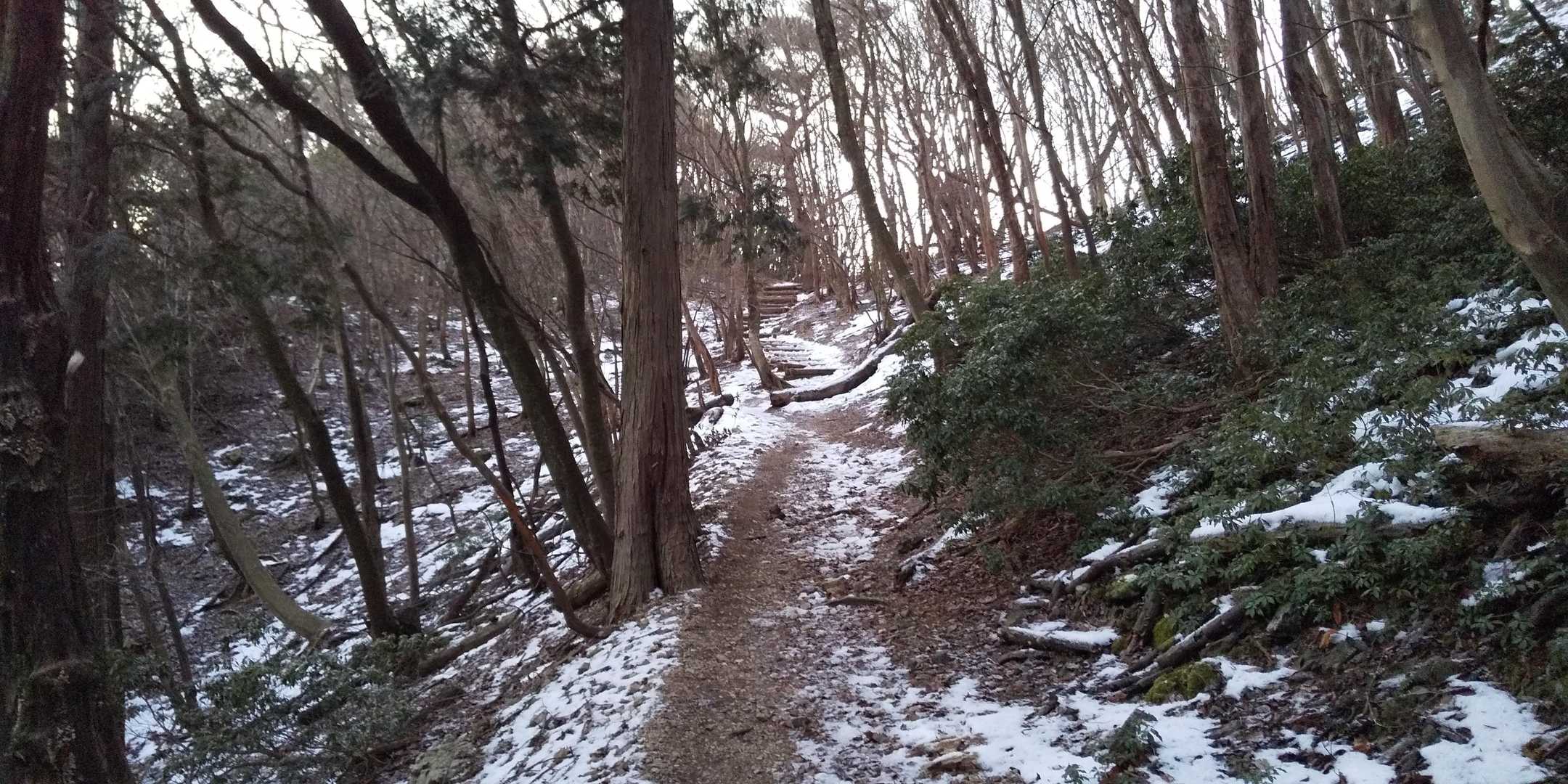 歩きながら「これ絶対間に合わないよなー」と思いつつも、せっかく来たから間に合いたいのでゼーゼー言いながら頑張った。これならギリギリ間に合うかも！ここまで来たらもう少し！急げ、急げ！がんばれ自分！
