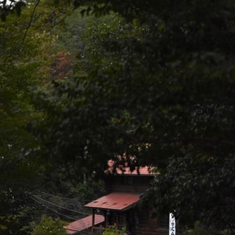 予定時刻に無事下山。この後は直接次の用事の目的地へ。