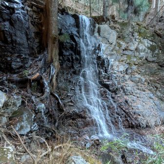 「母の白滝（ははのしらたき）」とは、山梨県富士河口湖町にある、富士山世界文化遺産の構成資産であり、河口浅間神社の裏手にある霊験あらたかな滝で、木花開耶姫命（このはなさくやひめのみこと）の義母である栲幡千千姫命（たくはたちぢひめのみこと）を祀っていることから名付けられ、古くから富士登山者が身を清める場として利用されてきました。絹のような清らかな流れとマイナスイオンが特徴で、冬には美しい氷瀑が見られ、パワースポットとしても人気だそうです😊
四季折々の自然と清らかな滝が織りなす絶景を拝める人気パワースポットだそうです。
穏やかかつ存在感のある滝の流れがなんとなく母のように感じます。 自然に囲まれた中でマイナスイオンを全身でたっぷり浴びながら、心身ともにリフレッシュできるようです😊
