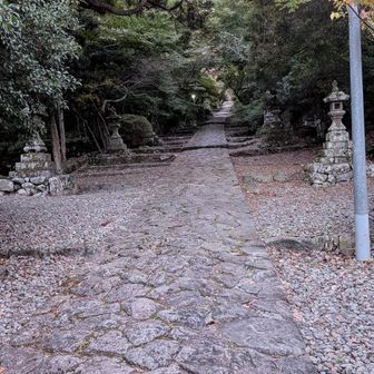 これを登るん？笑