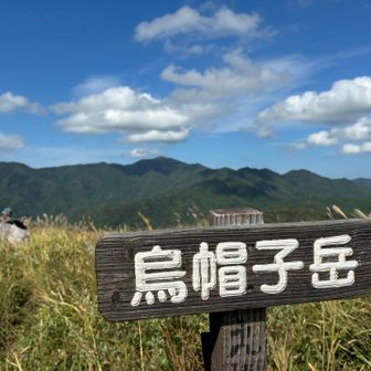 ズーム