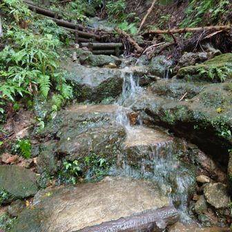 登山道が川になってます