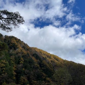下はまだまだ紅葉🍁

雪化粧❄️
お付き合いいただきありがとうございました🙇🏻‍♀️

お疲れ山🏕