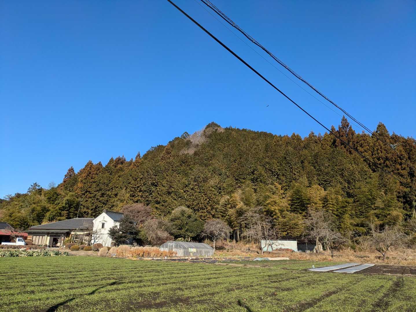 次は愛宕山へﾃｸﾃｸ(･ω･o*)-8｡｡｡
サクッと⤴⤵

この後、蟹沢山もサクッと🦀🦀